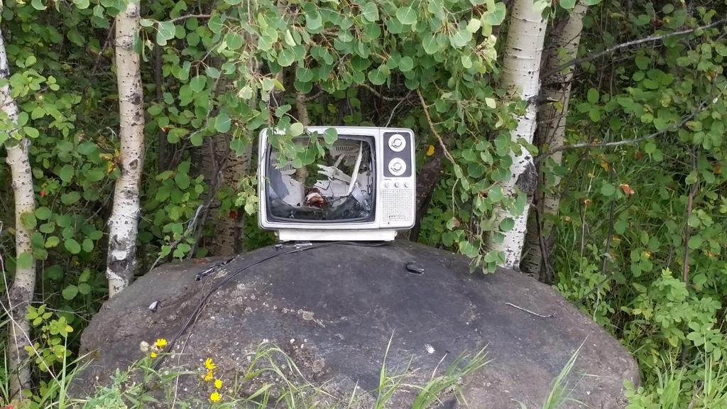 Kids hqd to pee. Odd place for a TV.  #skroadside