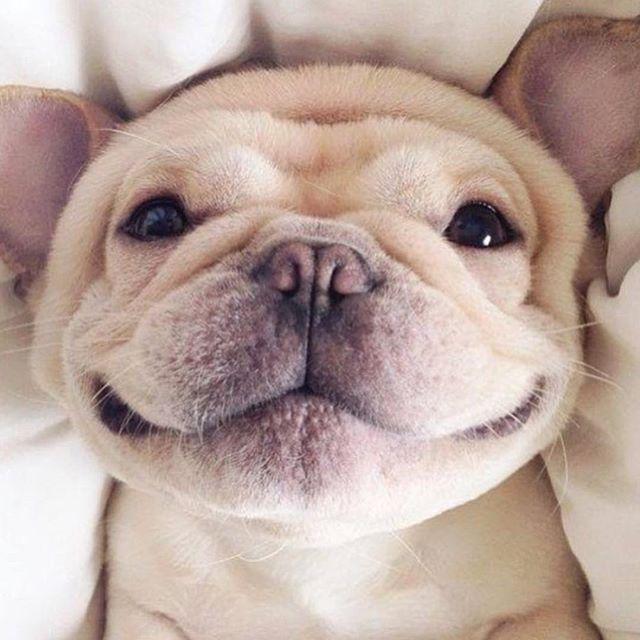 shaymitch's tweet photo. Smile... it's almost the weekend!! http://t.co/sHdofUu2lD