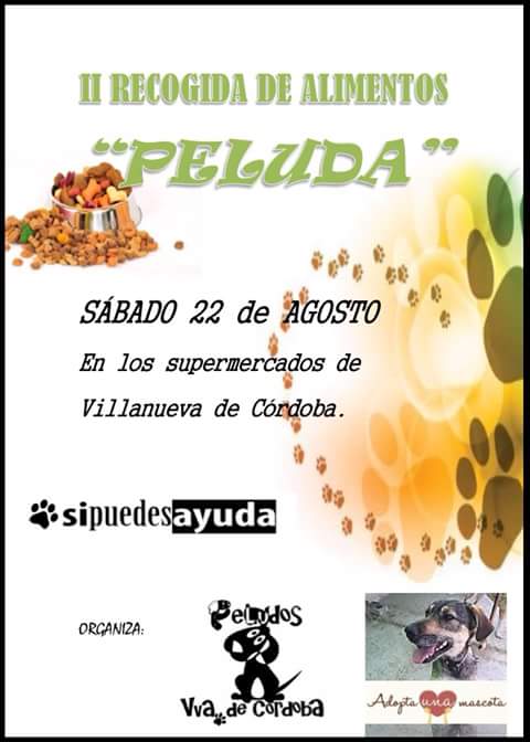 #DonaUnSaco #RecogidaDeAlimentosPeluda #VillanuevaDeCordoba si puedes colabora