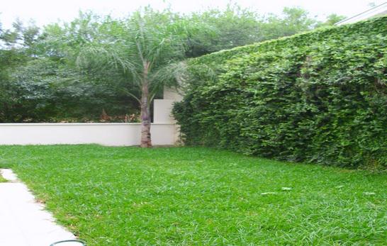 Casas4ever's tweet photo. Preciosa casa en venta colonia Bosquencinos en Monterrey NL
http://t.co/GYXOc4SLNl http://t.co/HAP1zha2Eh