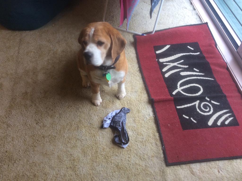 Man boss is so judgemental. He says my taste for knickers and sanitary pads is an "expensive perversion"