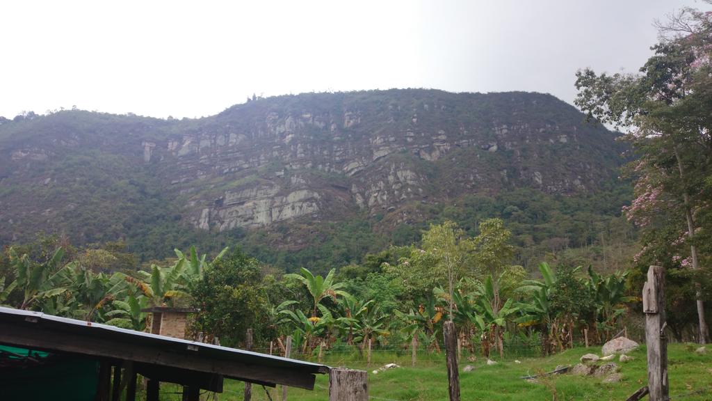 jtafurth's tweet photo. Cerro del Quininí, y falta mucho más por conocer :) http://t.co/fAeXSpBcfb