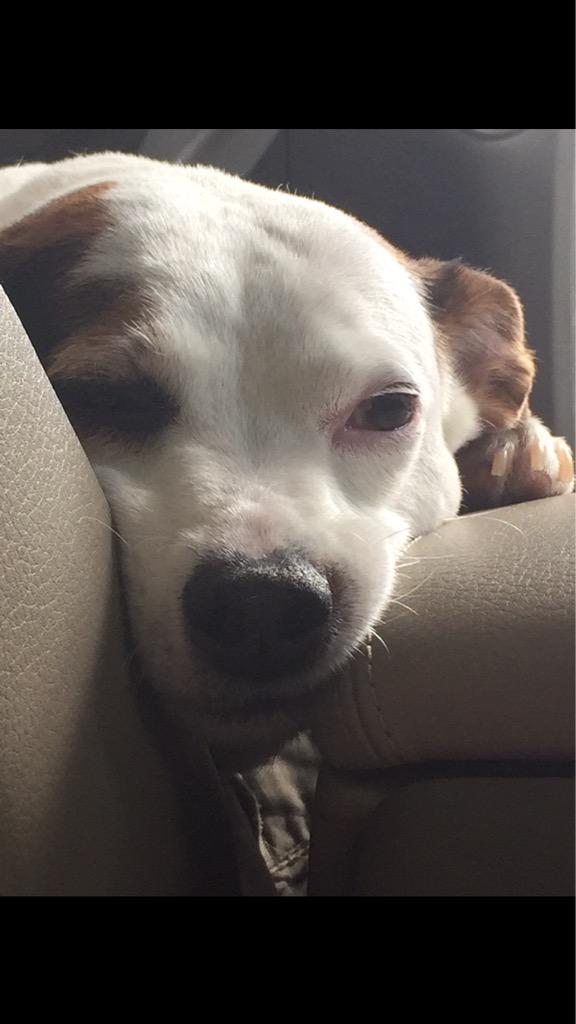 first day of summer vs last day of summer