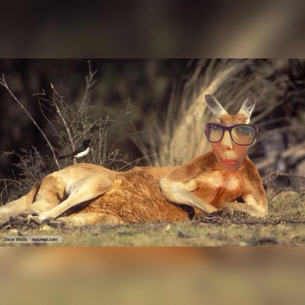 dontfadetogrey's tweet photo. @aramfloodmusic #savearam yo hacker you a kangaroo bc you can hop on dis dick http://t.co/BFKshEBwlr