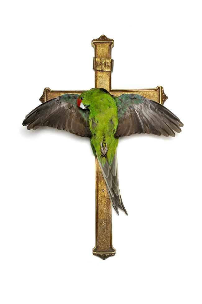 .<a href="/JuliadeVille/">Julia deVille</a>'s amazing taxidermy sculpture in beautiful.bizarre issue 009 !!
BB Stockists: beautifulbizarre.net/stockists