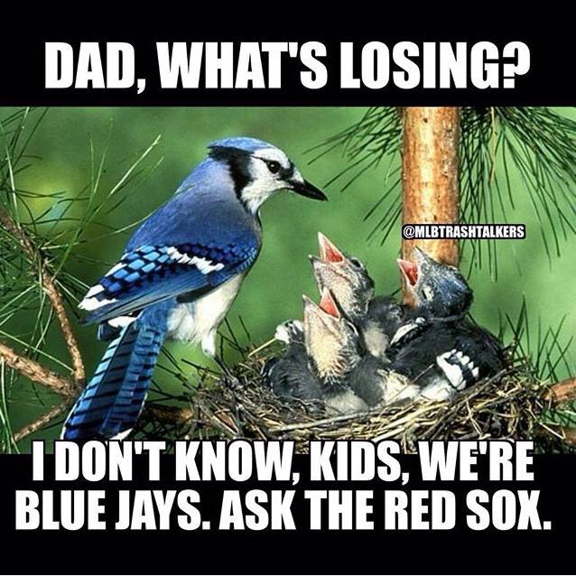 ben_powell22's tweet photo. Sometimes I just wish I was a blue jays fan but no I route for the team on the bottom http://t.co/V3n78WbzZF