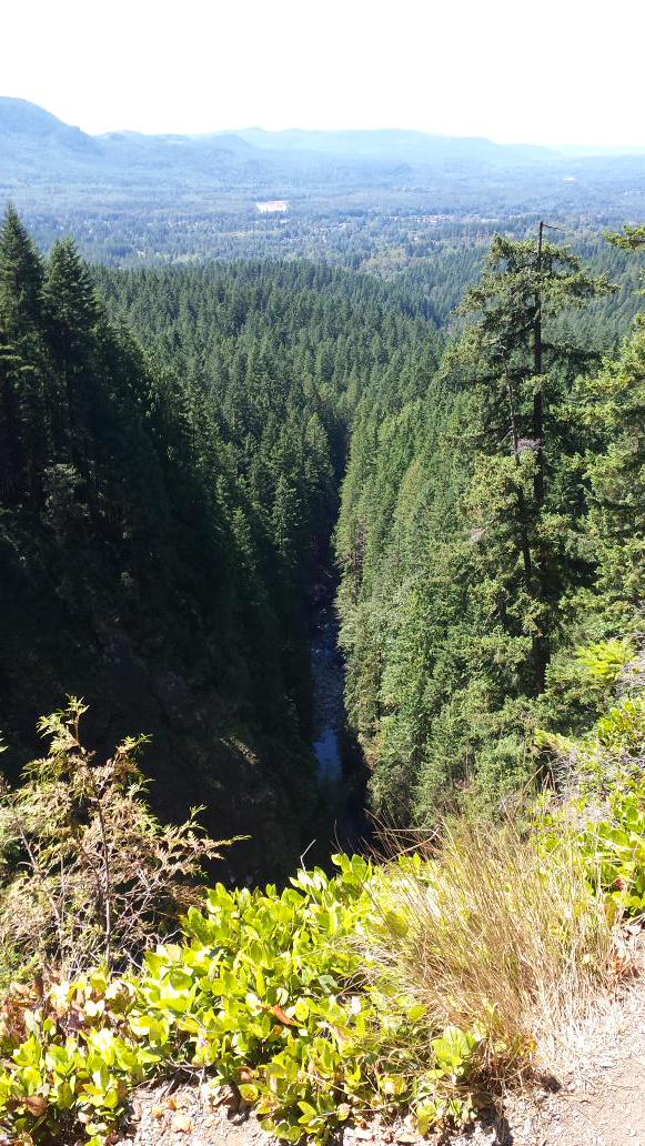 cdabrows71's tweet photo. Today's adventure: Wallace Falls 6miles roundtrip and elevation gain 1600.  Kicked asthmas butt http://t.co/0oKmESDusV