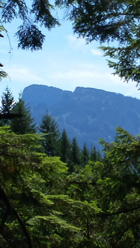 cdabrows71's tweet photo. Today's adventure: Wallace Falls 6miles roundtrip and elevation gain 1600.  Kicked asthmas butt http://t.co/0oKmESDusV
