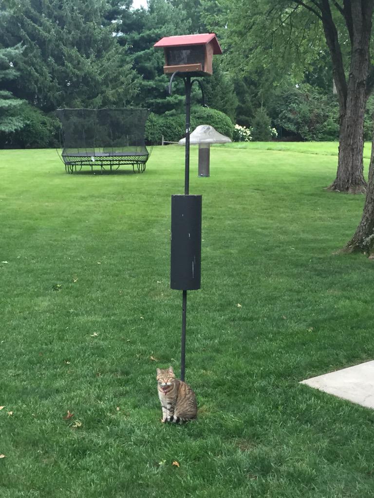 JimWjr's tweet image. #NotSubtle @mwalt_94 @LauraWaltman1