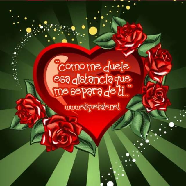 oswaldo ROCHA tweet media