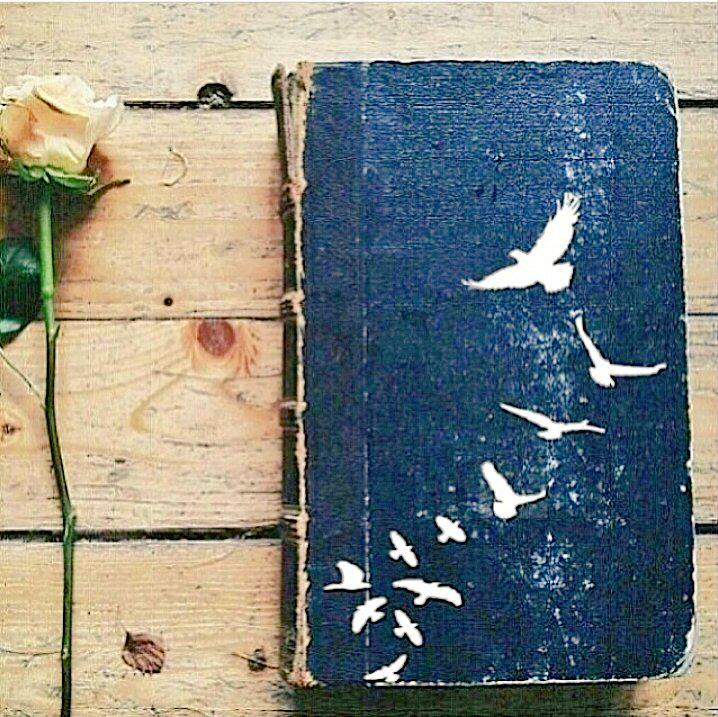 relsayed24's tweet image. #اصحاب_المصلحه  !!