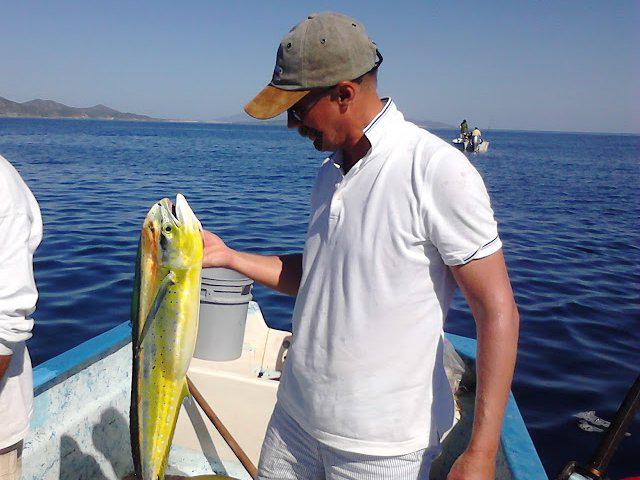 #HappySportFishing <a href="/LaPazBajaSur/">La Paz Baja Sur</a>  <a href="/GulfCalifornia/">Gulf of California</a>  #SeaofCortez  #SundayFunDay #Dorado #Sportfishing  #ElCapiMendez