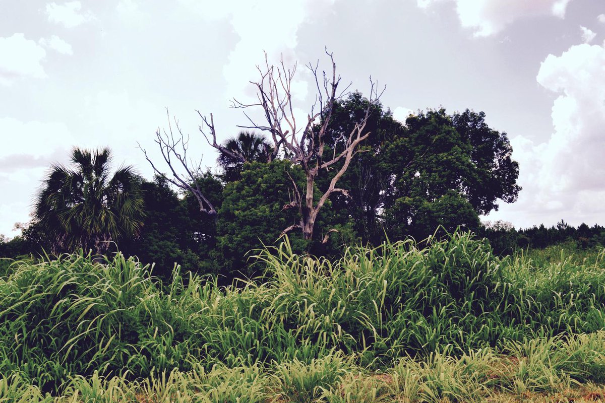 TheSloopers's tweet photo. http://t.co/3DR33SD7CB