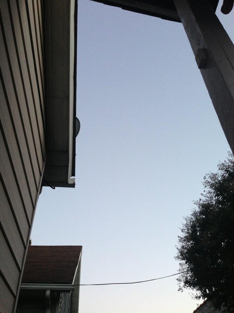 TeeCeeSquared's tweet image. When all else fails, #nature has your back. #findinginnerpeace