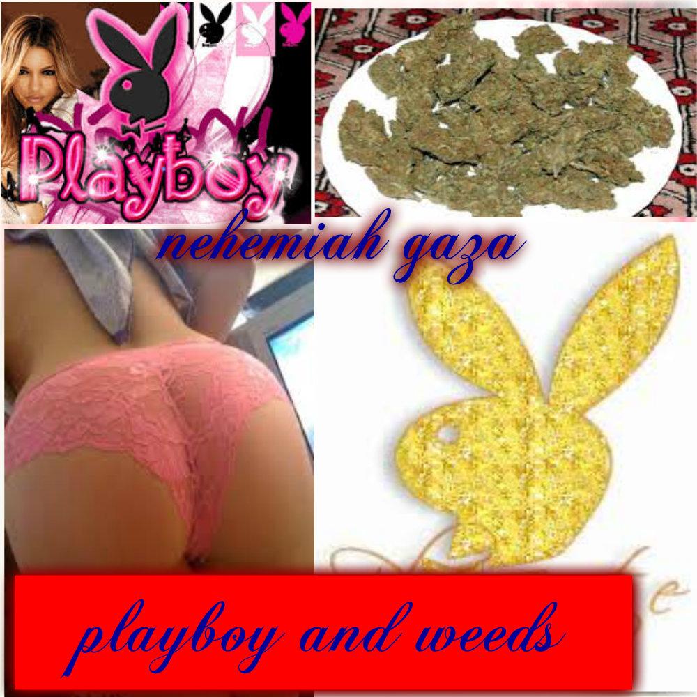 GazaNehem's tweet image. via pizap.com