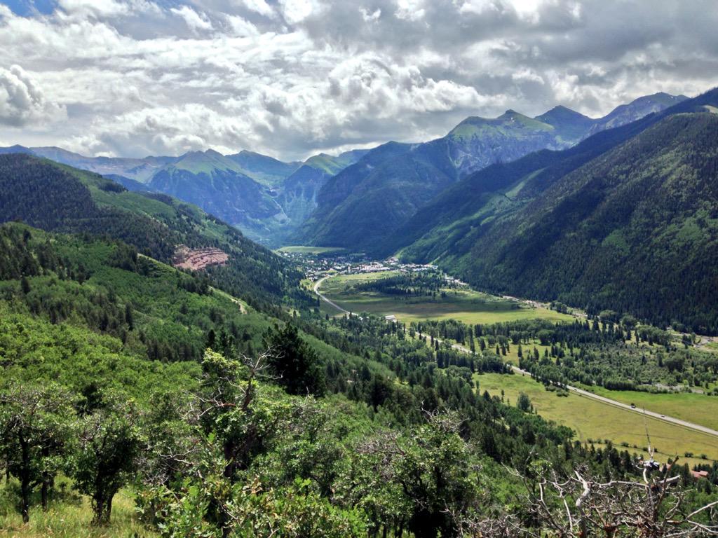 Anna Frost tweet media