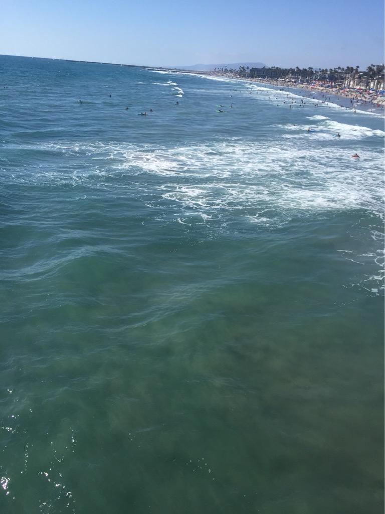 I love living in San Diego! 🌅🌊☀️