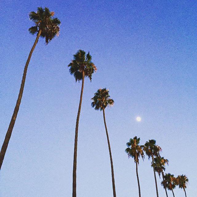 HEROjobs's tweet image. #Hiring #InteractiveDesigner @GUESS in #LA @CreativeCloud #UX #AS3 #eCommerce #Job #Career jobie.com/s/Ek6m5srhAc?u…