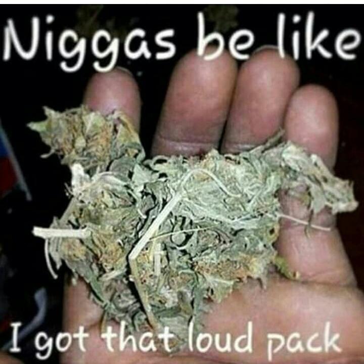 cannabis__humor's tweet photo. Wtf ? 😂😂😂 http://t.co/zyMwbVXkkq