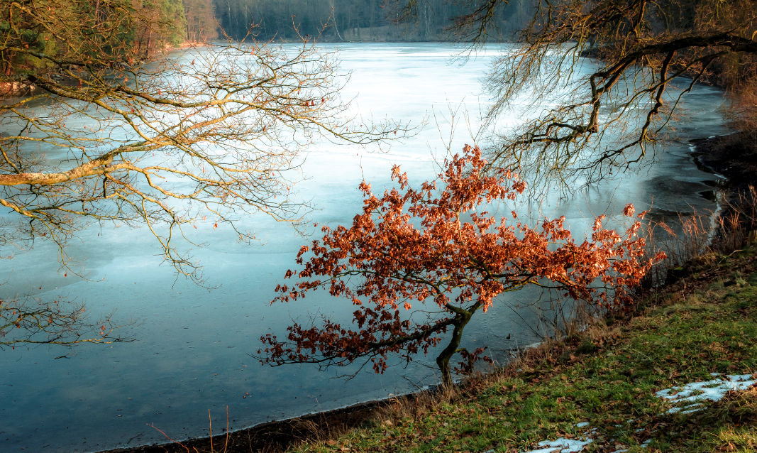 Twittblaster's tweet photo. The virtues r lost in self-interest
as rivers r lost in D sea.
FDRoosevelt
#BeSelfless #BeMagnanimous #Twittblaster http://t.co/iGvKaO6VVp