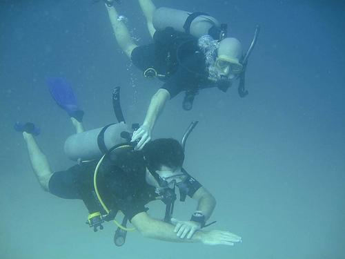 medusadive's tweet image. Quieres aprender a usar la #brújula como un experto? No te pierdas este articulo del blog! ow.ly/QkkVt