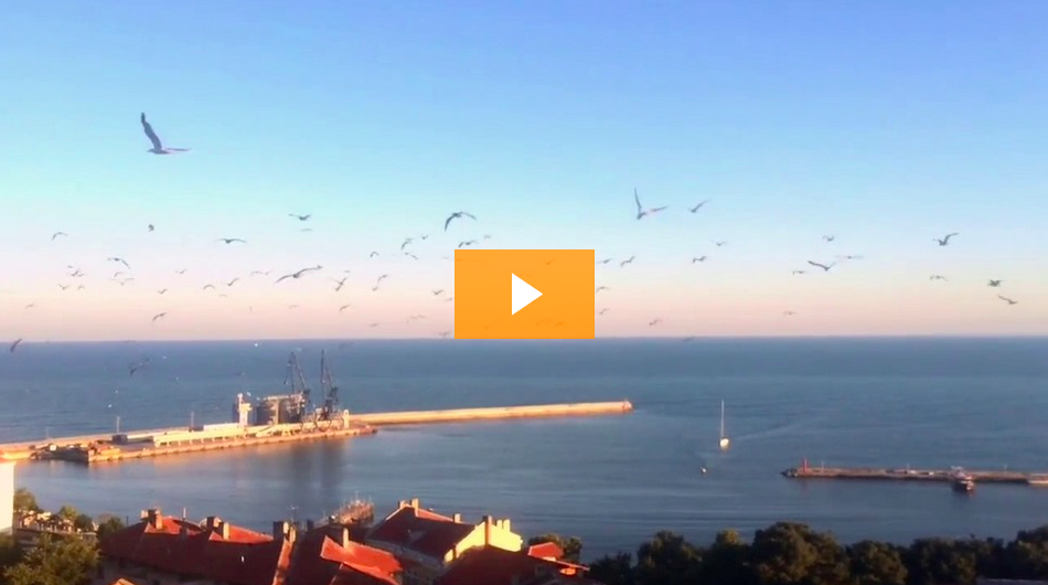 xavxyz's tweet image. Hey there! My new #travel video is online: Black Sea, from the Danube to Istanbul: ow.ly/QGXdW #bonvoyage