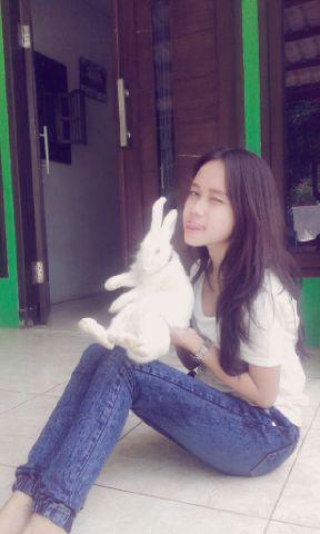 WulanGanesh's tweet photo. Kelinci Anggora♡ http://t.co/9C2vrSIVu5