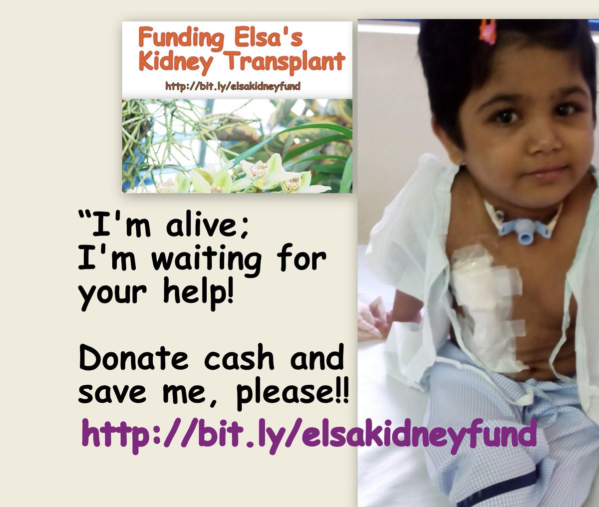 #charity #funding #dialysis #kidney #transplant #DonateLife @Shadesoflife12 
Elsa Farooqui plea-Mom Donor-Needs Fund