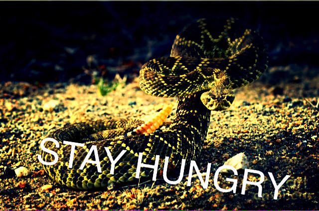 RR_Football's tweet photo. It all begins tomorrow #twoadays #rattlerfootball http://t.co/0SlpkEsDNy