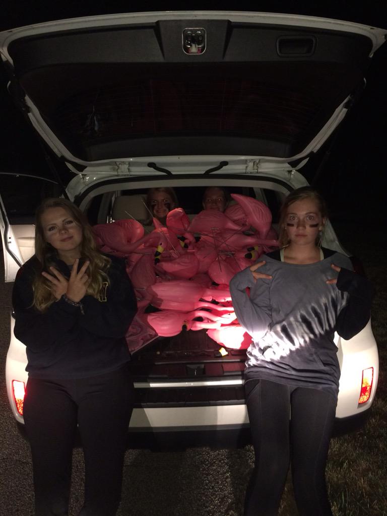 prhstubas's tweet photo. Our trunks are full, watch out bscott #cominforya http://t.co/gZAuRAa8ro