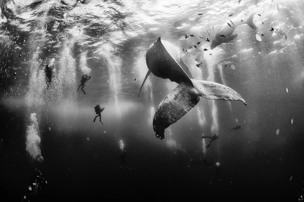 washingtonpost's tweet photo. Stunning images from the winners of the National Geographic Traveler photo contest http://t.co/LmLLUHGz9V http://t.co/Fu2YsZYTW9