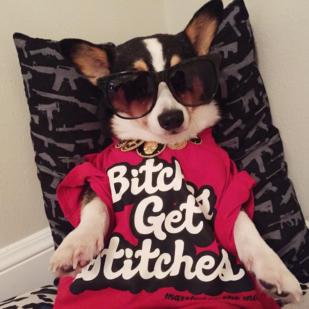 Corginista's tweet photo. 👊🏼 Don't be thinkin u all that and a bag of chips cuz Bitches Get Stitches when they frap outta line #GhettoFurbulous http://t.co/eEAd4di2IQ