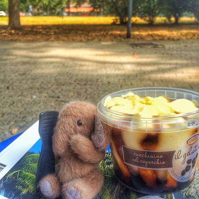 SPB_2life's tweet image. #спб #Питер 🐘 Каждый день - это маленькая жизнь, которую нужно проживать счастливо! 🍦📖🐘 #утрадоброго
#Buongiorno
#G…