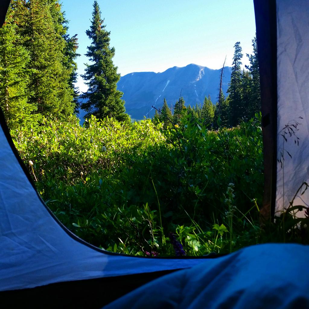 vanessaaroseee's tweet photo. My view from my tent this morning on Mt. Red! #ColoradoLove #WETrek #MountainLove #Colorado #REI http://t.co/iuNvrfHsM0