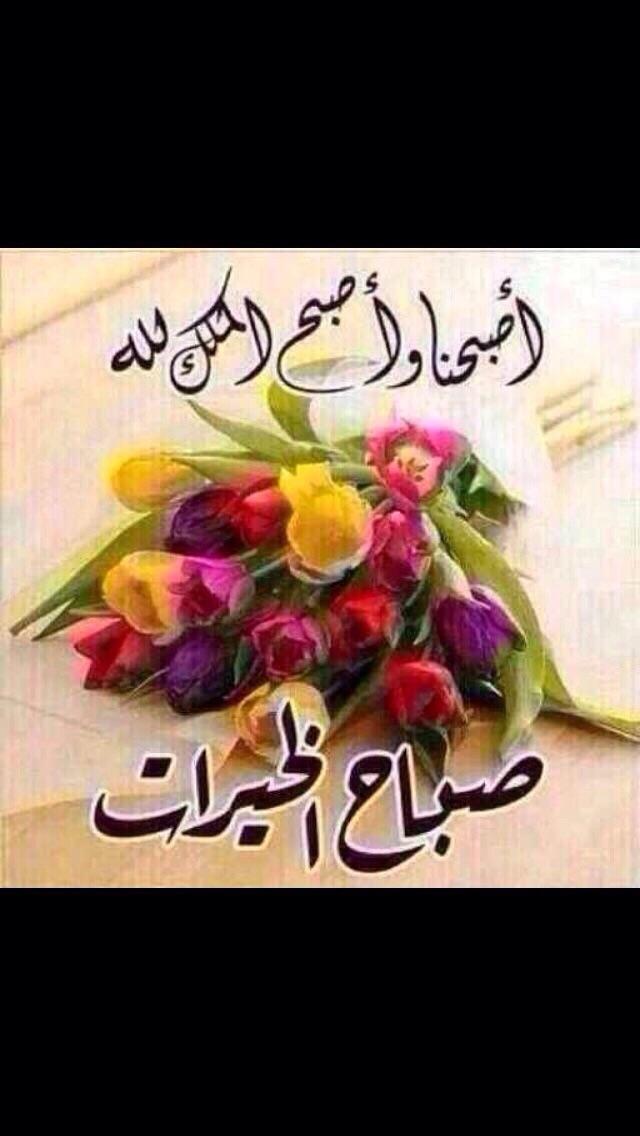 kholodmohamad42's tweet photo. http://t.co/SiK4uMaEhu