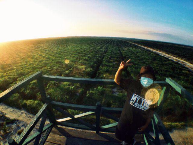 DilaSafitri_'s tweet photo. Kebun sawit tanjung pasar #exploreketapang http://t.co/57h8wtyU2U