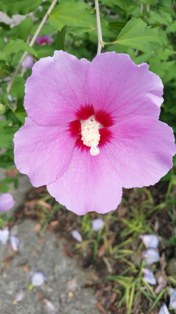 오딧세이 (@ehskr) on Twitter photo 