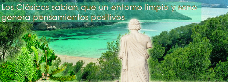 BirginExports's tweet photo. Si quieres un espacio limpio y sano con nuestros productos será una realidad http://t.co/yn6rcVddm2 http://t.co/WGb4jlk9W0