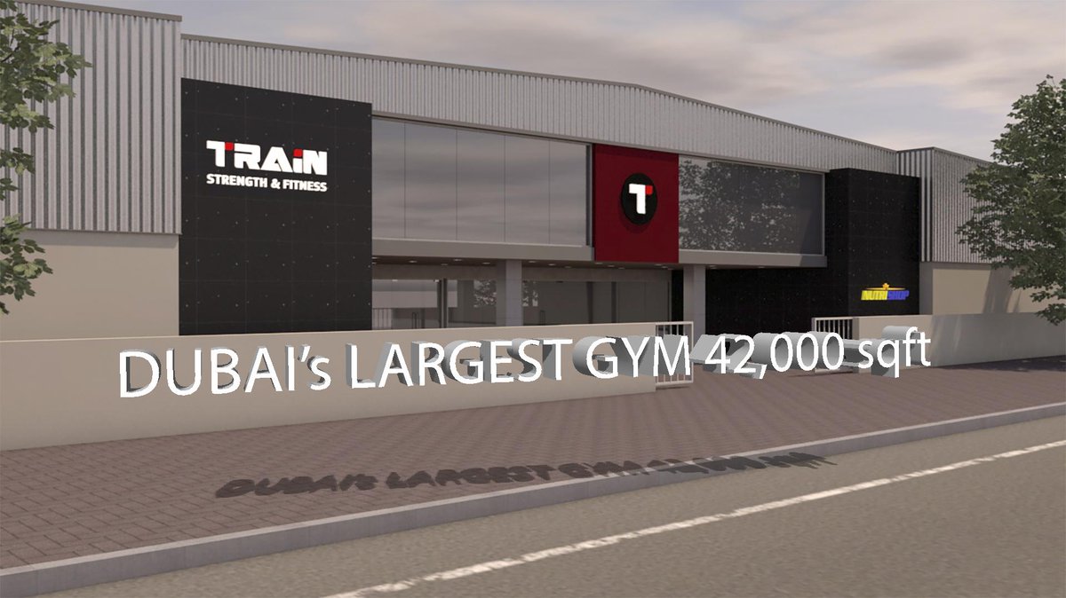 Yasmine K (YazDWO) Twitter