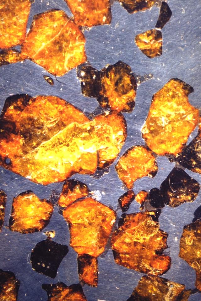 Meteorite_Prof's tweet photo. #CloseUp of a slice of #StonyIron #Pallasite #Brahin (iron-nickel #meteorite with #olivine)💫

http://t.co/vcyQvOYFA5 http://t.co/aqUNbm3ahg