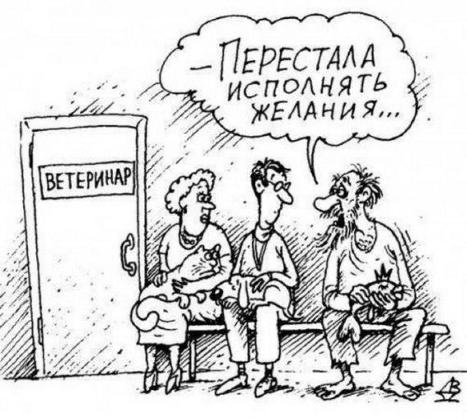 Прикольные картинки про ветеринаров