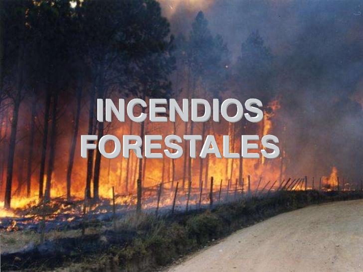 Guardia Civil tweet media