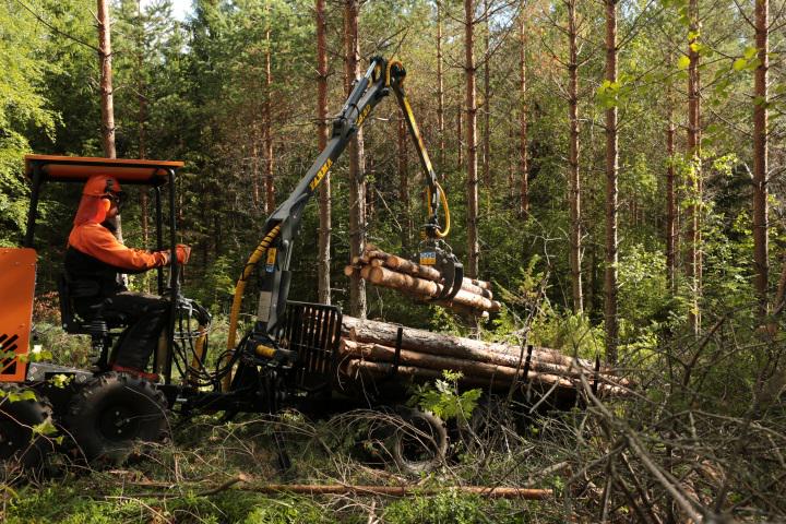 logbullet's tweet photo. #logbullet kävi männikössä kesäisellä ensiharvennuksella. Urakka meni hyvin, syksyllä sitten kuusikkoon. http://t.co/16tQP8Cdc0