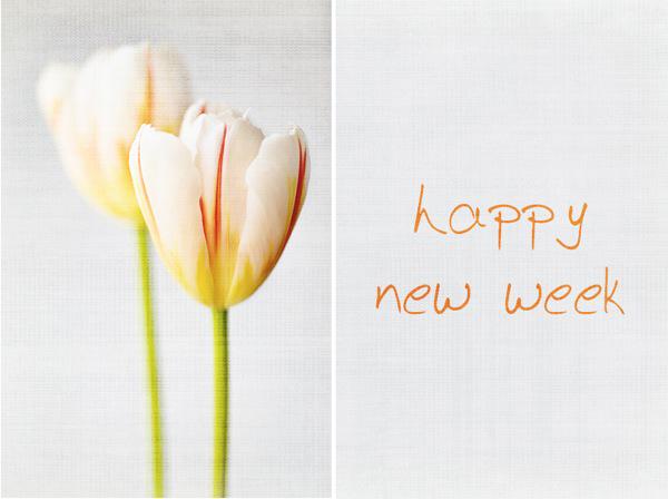 AutoMesterIRL's tweet image. Monday is here again, we hope you all have a productive week.
 Your AutoMester Team.