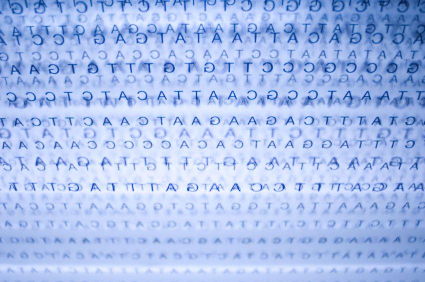 genomicgenetics's tweet photo. ¿#Sabíasqué todo ser vivo se basa en un código compuesto por 4 dígitos? #genoma #adn http://t.co/1KslOZi5LV
