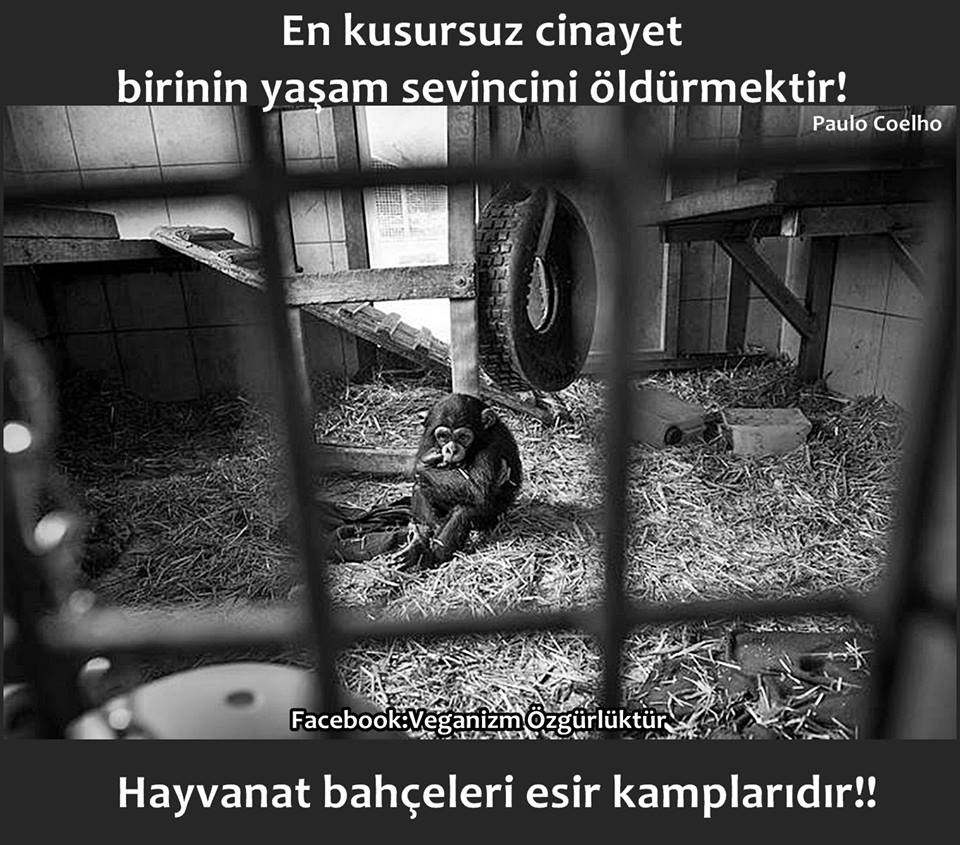 En yüce erdem canlılığa saygı duymaktır ve tüm canlılar özgürlüğü hisseder.  goo.gl/WJHcQe