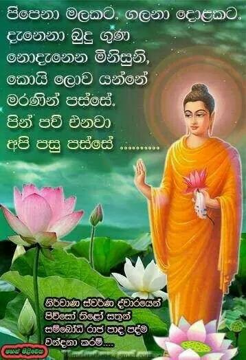 rnmadawala's tweet photo. http://t.co/TQFcKHmI9Z