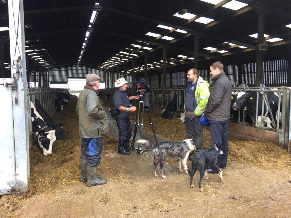 MarcrossFarm's tweet image. Filming for @itvwales news today. We are getting 23p per litre of milk when we need 35p to make the business viable.