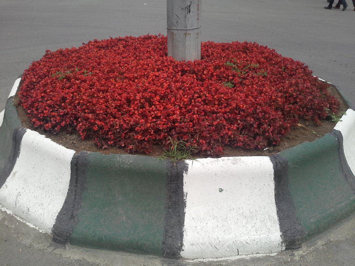 AgriBld's tweet photo. Ağrı'nın Çehresi Değişiyor... http://t.co/EorRByEEZQ
