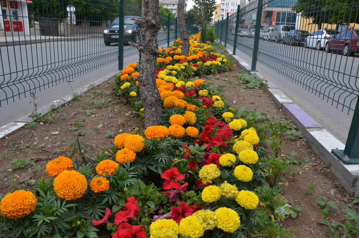 AgriBld's tweet photo. Ağrı'nın Çehresi Değişiyor... http://t.co/EorRByEEZQ